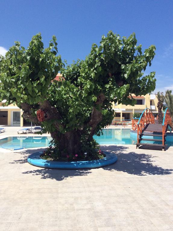 Angelos Beach Hotel Фалираки Екстериор снимка